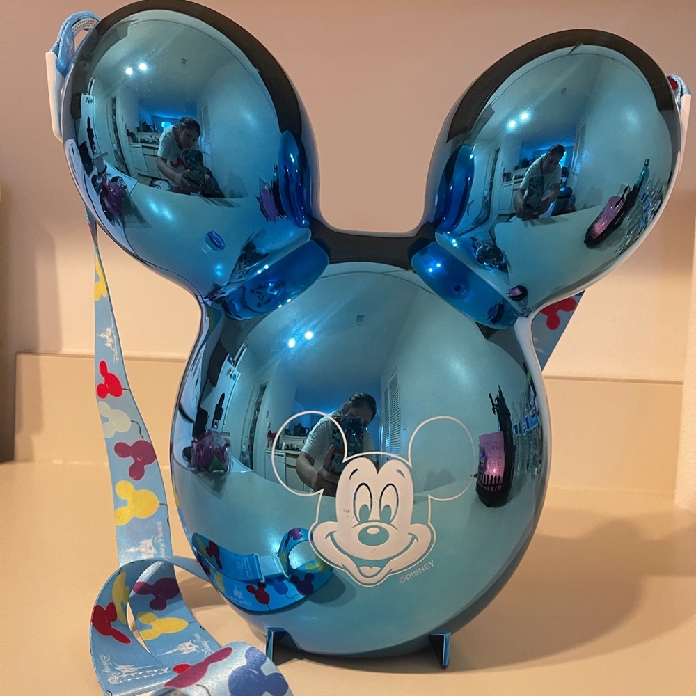 Disney park popcorn bucket